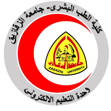 جامعة الزقازيق